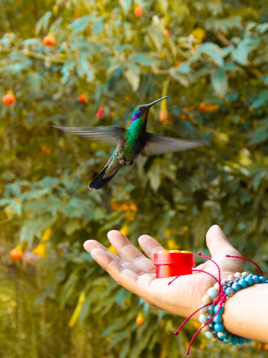 Explorando Cusco con bebé: 3 Experiencias&nbsp;Mágicas