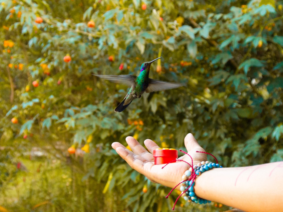 Explorando Cusco con bebé: 3 Experiencias&nbsp;Mágicas