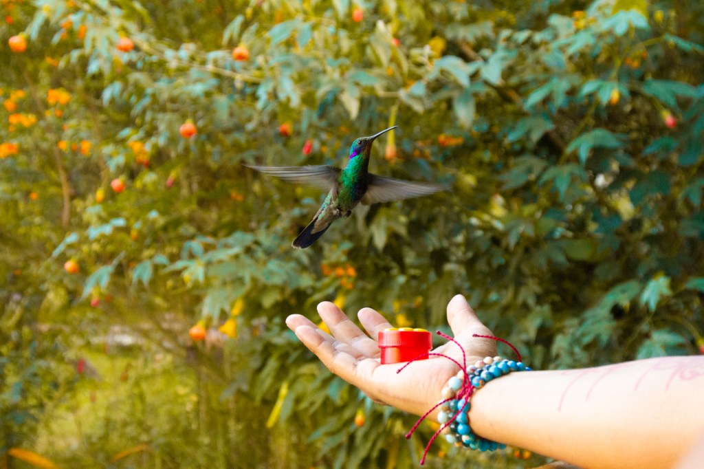 Explorando Cusco con bebé: 3 Experiencias&nbsp;Mágicas